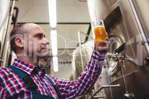 Manufacturer examining beer in mug