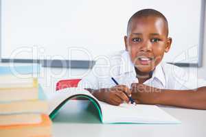 Schoolkid doing homework in classroom
