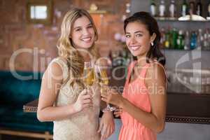 Portrait of two women toasting a glass of champagne