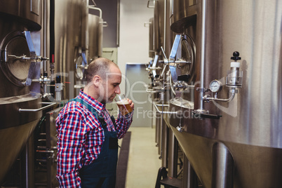 Manufacturer tasting beer at brewery