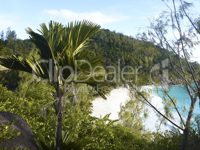 Tropical landscape of coast of Anse Georgette, Seychelles