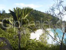Tropical landscape of coast of Anse Georgette, Seychelles