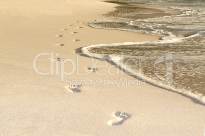 Footprints at the beach, Seychelles