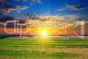 field, sunrise and blue sky