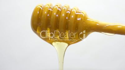 Macro of Honey dripping from stick