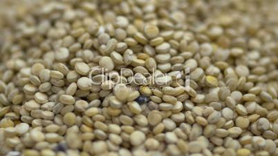 Quinoa seeds extreme macro