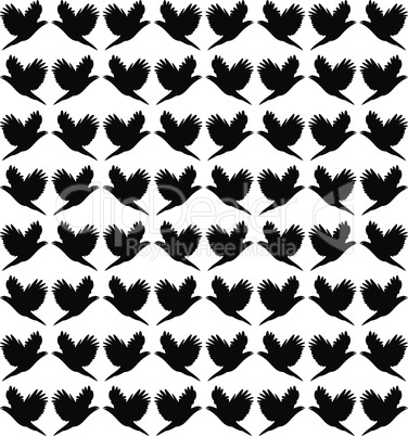 Background of flying birds.