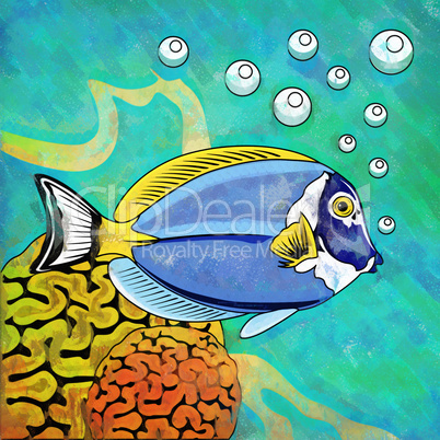 Colorful Aquarium Fish