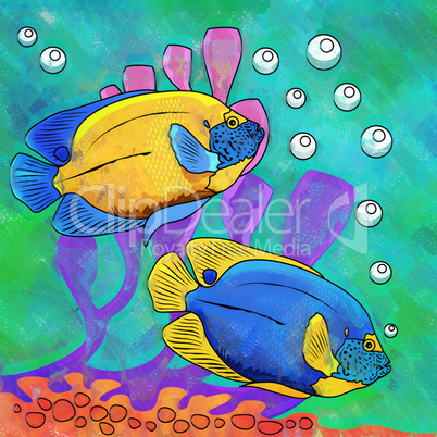 Colorful Aquarium Fishes