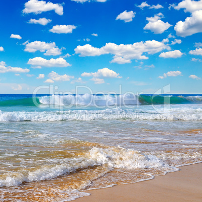 ocean, picturesque beach and blue sky