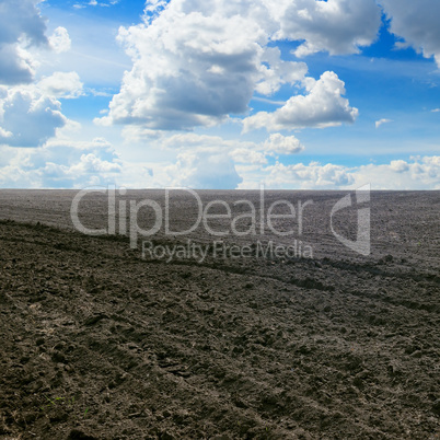 plowed field and cloudy sky