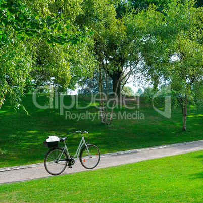 Summer park, bike and bicycle path