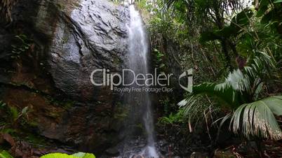 Hidden waterfall in the jungle of Praslin island, Seychelles
