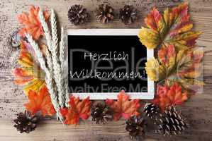 Chalkboard With Autumn Decoration, Willkommen Means Welcome