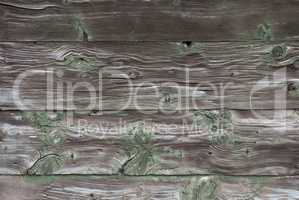 Rustic Wooden Background Or Texture With Green Color, Copy Space