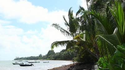 Tropical beach of Anse Volbert, Praslin island, Seychelles
