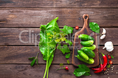 ingredients for pickling cucumbers