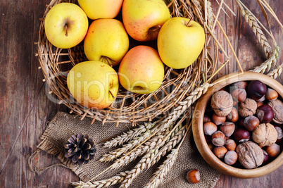 crop of apples and nuts