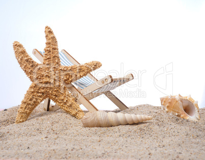 Starfish on a beach