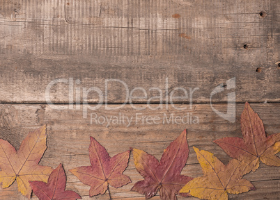 Old wooden background with autumn leaves