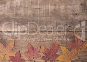 Old wooden background with autumn leaves