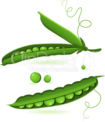 pea pods of green peas isolated vector illustration