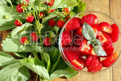 strawberries in a bowl and strawberries bunches