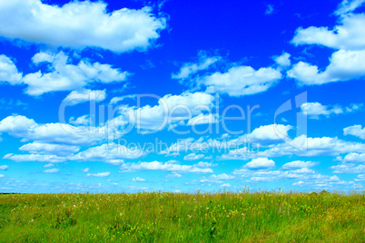 summer meadow and blue sky with white clouds.