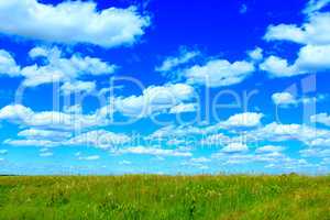 summer meadow and blue sky with white clouds.
