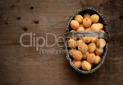 Full basket with ripe apricots