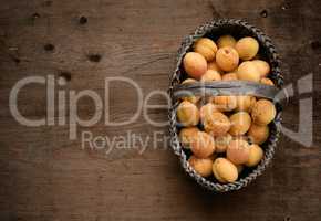 Full basket with ripe apricots