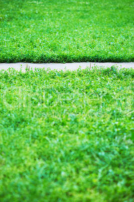 Vertical park path with green grass background