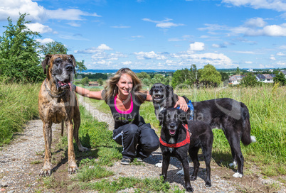 group of dogs