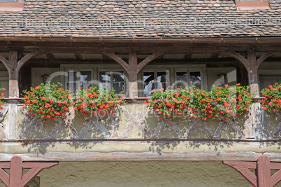 Blumenbalkon in Ochsenfurt