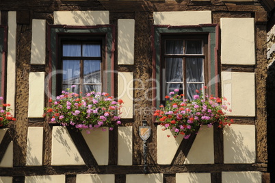 Blumenfenster an einem Haus in Marktbreit