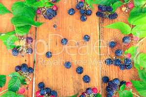 still life from black raspberry and green leaves