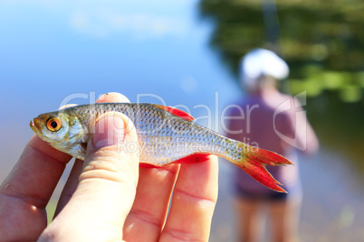 rudd caught in hand and fisherman in the background