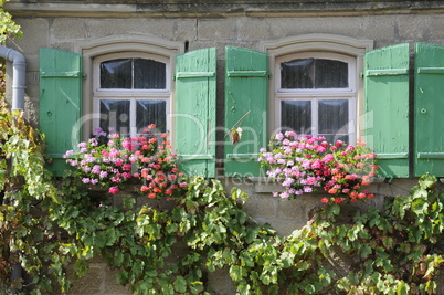 Blumenfenster