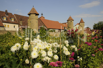 Blumen an der Stadtmauer in Mainbernheim