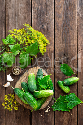 pickling cucumbers