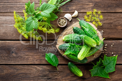 pickling cucumbers