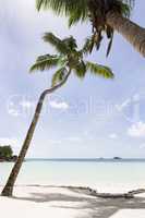 Paradise beach, Praslin island, Seychelles