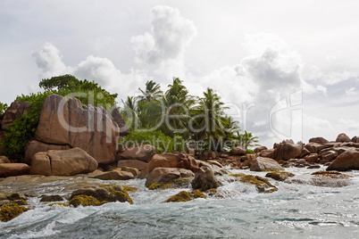 Tropical island St. Pierre, Seychelles