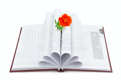 Book and flower isolated on white background