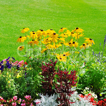 summer flower bed and green lawn