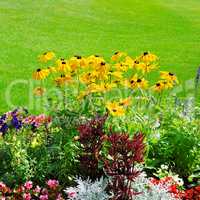 summer flower bed and green lawn