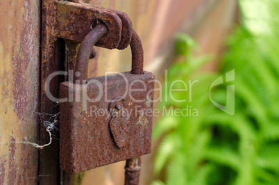 Old rusty door lock