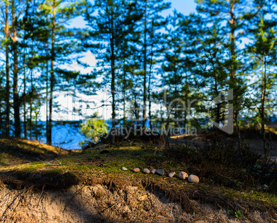 Horizontal vivid toy nature landscape zen stones background