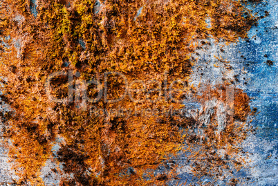 Horizontal vintage orange moss rusty concrete wall texture backd