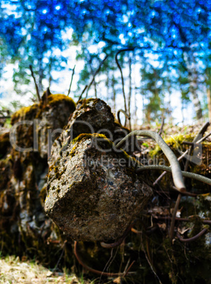 Vertical vivid after bombing concrete armature bokeh background